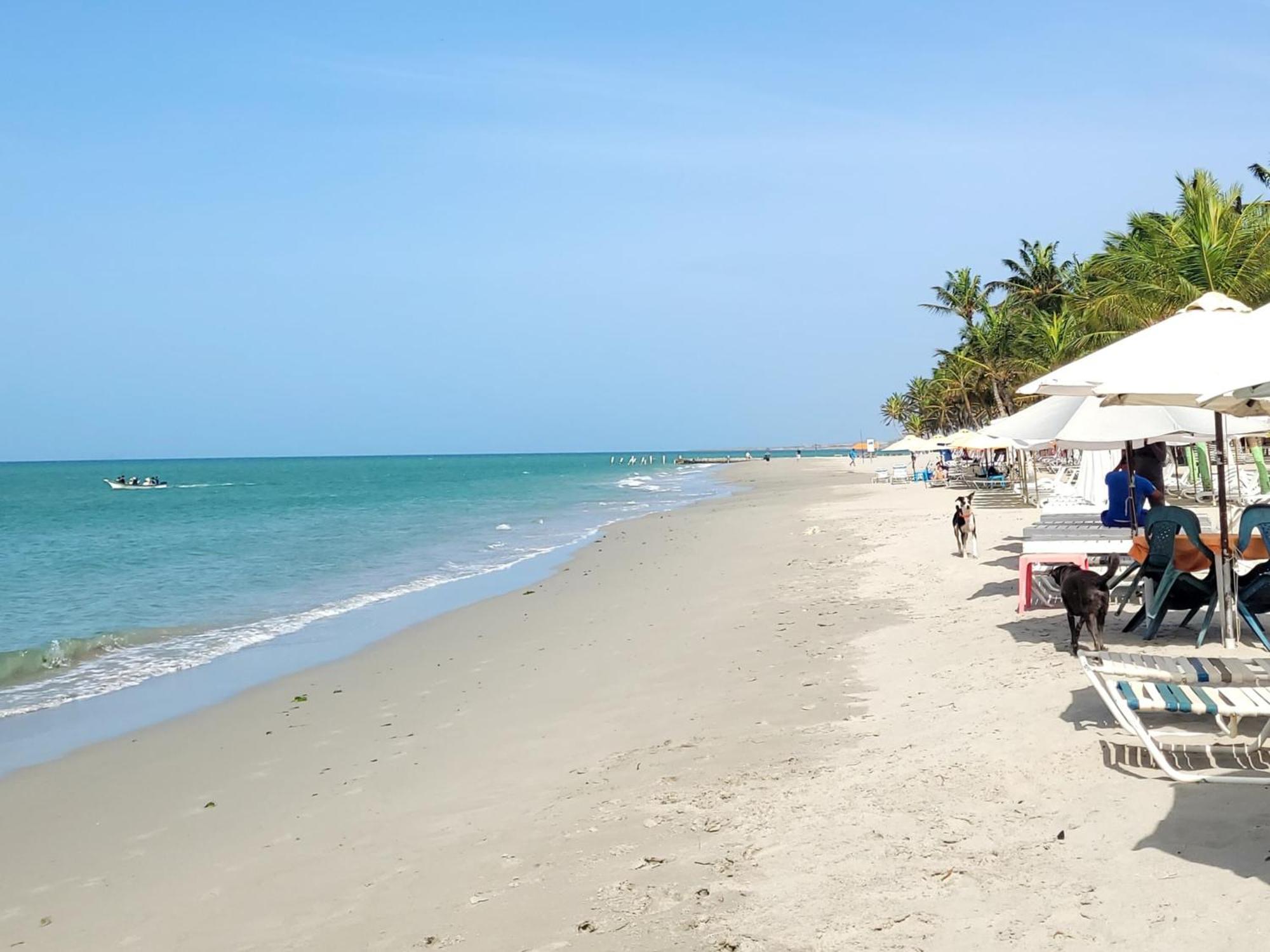 Отель Steviewonderland Playa Эль-Яке Экстерьер фото